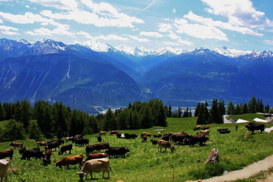 Le Mayen De Colombire Crans-Montana Eksteriør billede