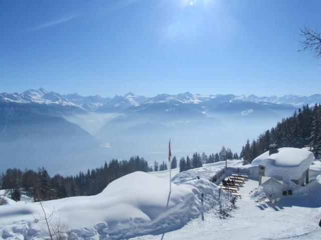 Le Mayen De Colombire Crans-Montana Eksteriør billede