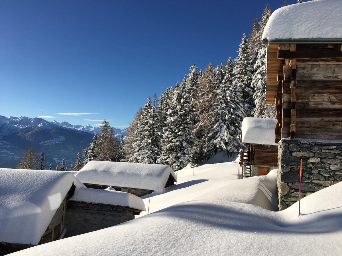 Le Mayen De Colombire Crans-Montana Eksteriør billede
